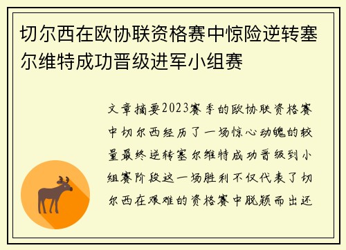切尔西在欧协联资格赛中惊险逆转塞尔维特成功晋级进军小组赛